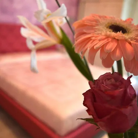 3 - - Tallyho Bed and breakfast 3*